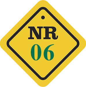 nr06